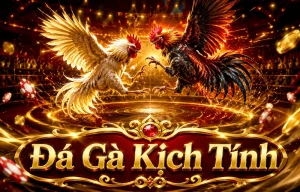 Ảnh giao diện sảnh Đá Gà physiodaskalaki